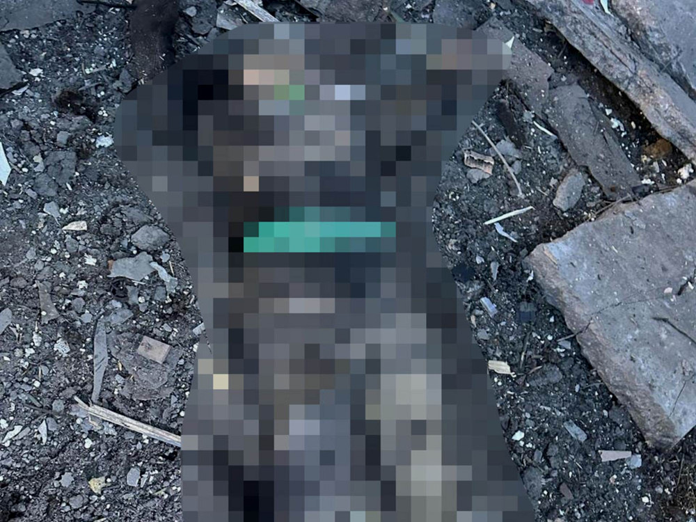 2647 image for slide