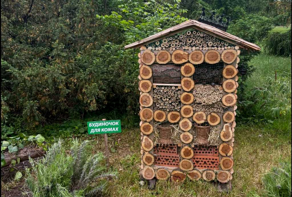 4231 image for slide