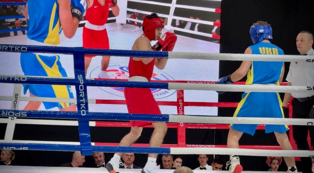 6737 image for slide