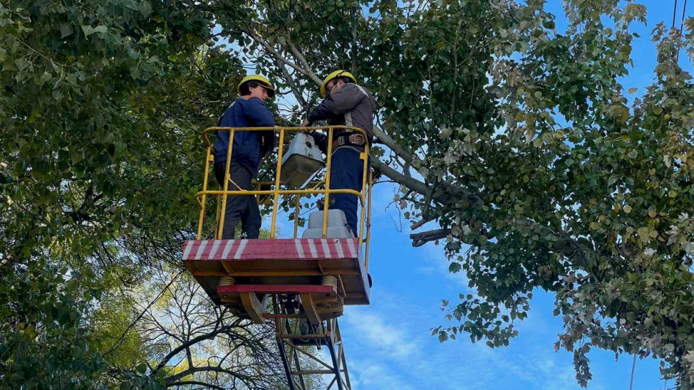 6753 image for slide