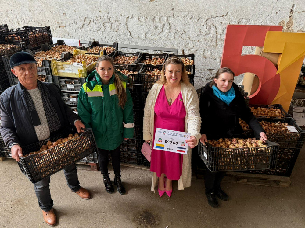 6765 image for slide