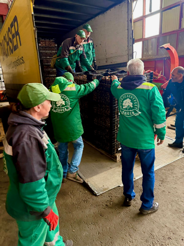 6766 image for slide