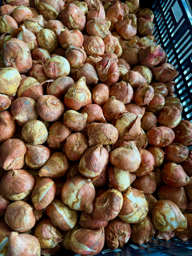 6767 image for slide