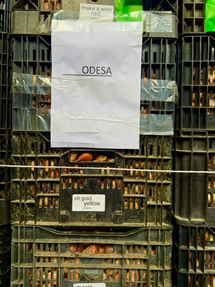 6768 image for slide