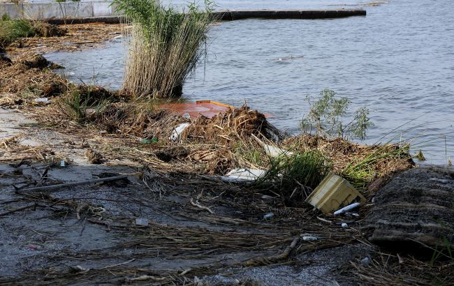 7239 image for slide