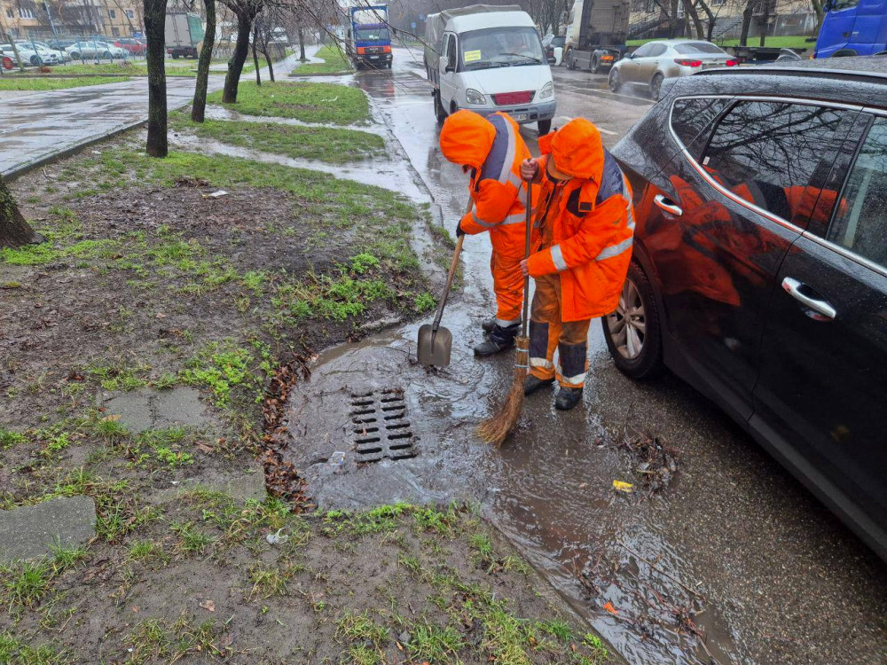 7287 image for slide