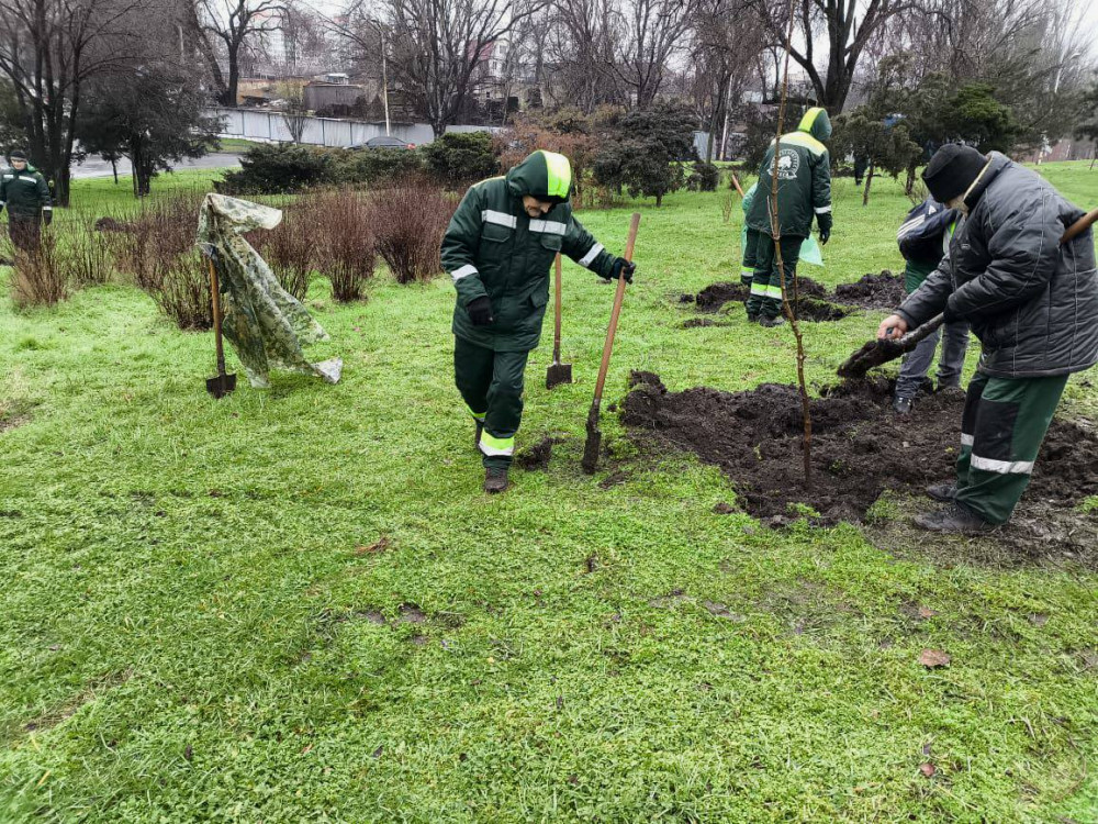 7301 image for slide