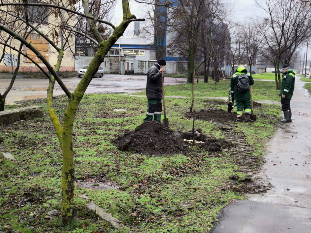 7303 image for slide