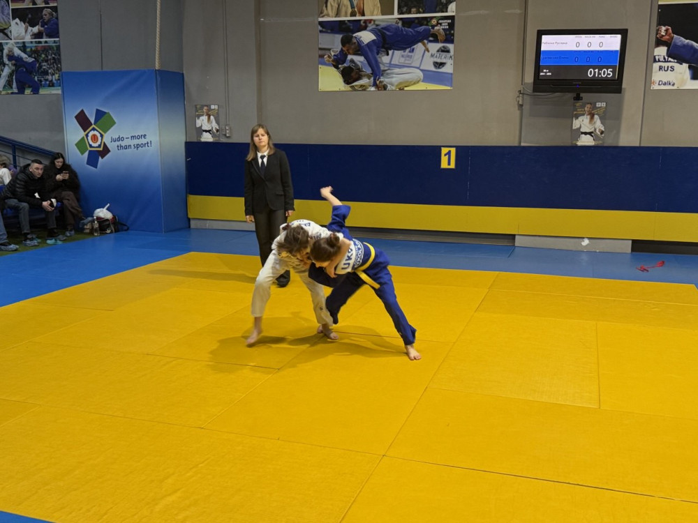 7355 image for slide